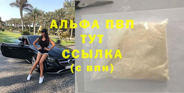 индика Абдулино