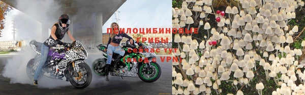 прущие крисы Абинск