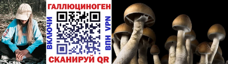 Псилоцибиновые грибы Psilocybine cubensis  что такое наркотик  Ханты-Мансийск 